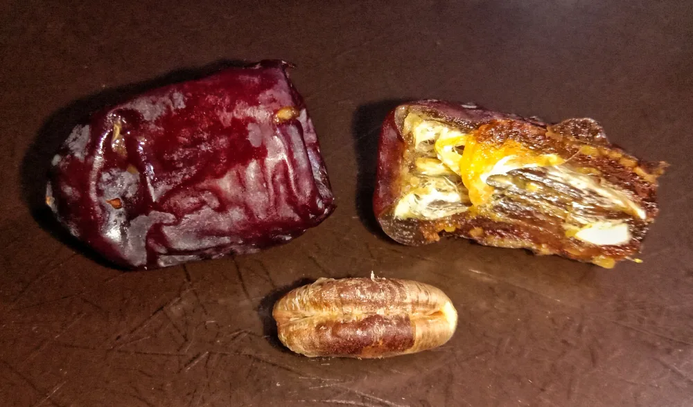 Kurma Mazafati Bam Iran (Rotab) — Kurma Basah Premium