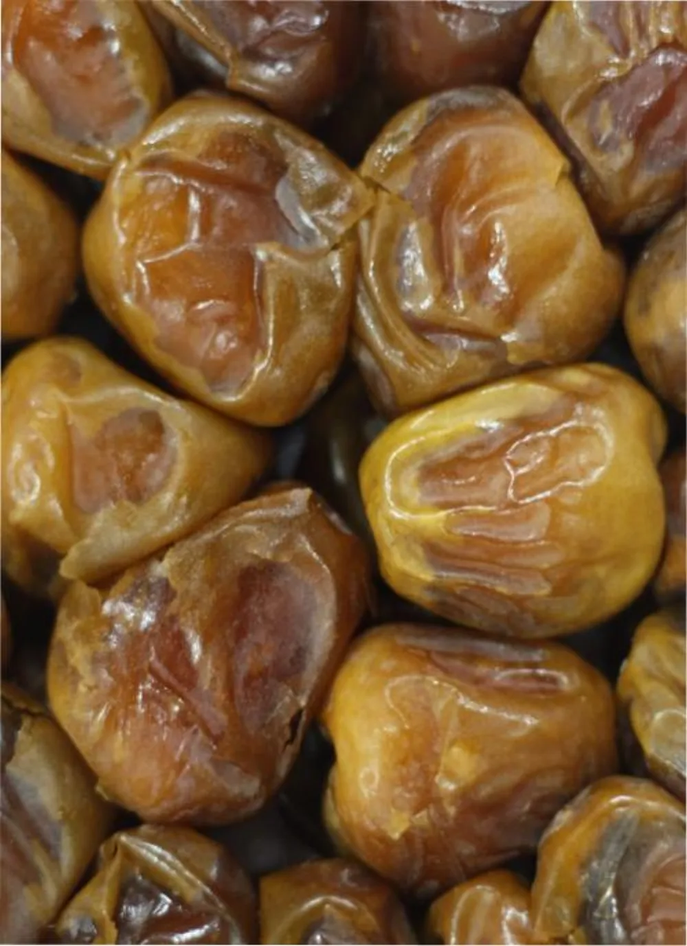 Kurma Sukari Al-Qassim — Grade A & AAA